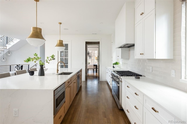 kitchen featuring premium range hood, backsplash, a sink, dark wood-style floors, and appliances with stainless steel finishes