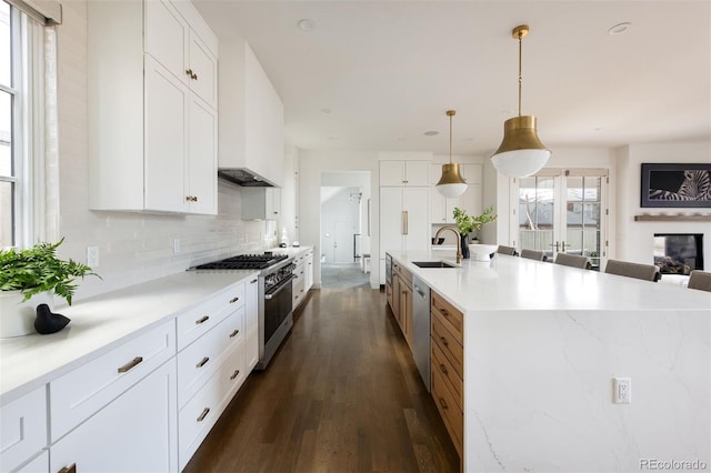 kitchen featuring a sink, dark wood-style floors, stainless steel appliances, white cabinets, and decorative backsplash