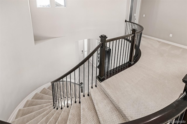 staircase featuring carpet flooring