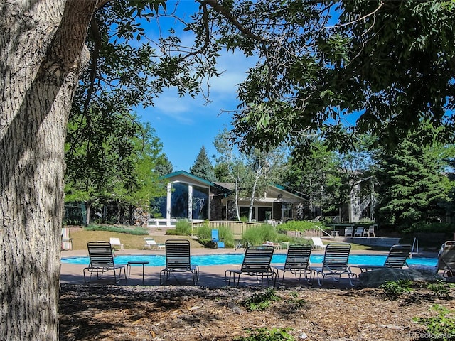 8416 Pebble Creek Way Unit 203, Highlands Ranch, CO 80126 - community pool featuring a patio