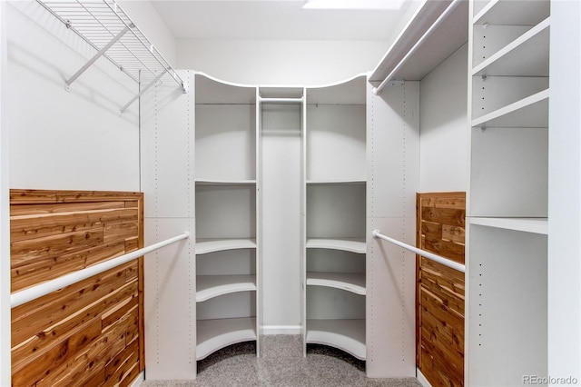 8416 Pebble Creek Way Unit 203, Highlands Ranch, CO 80126 - photo 23