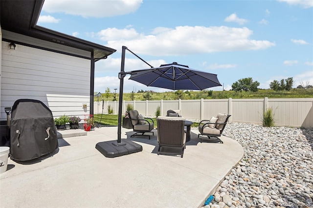 5680 Saddle Skirt St, Parker, CO 80134 - fenced backyard with a patio and an outdoor living space