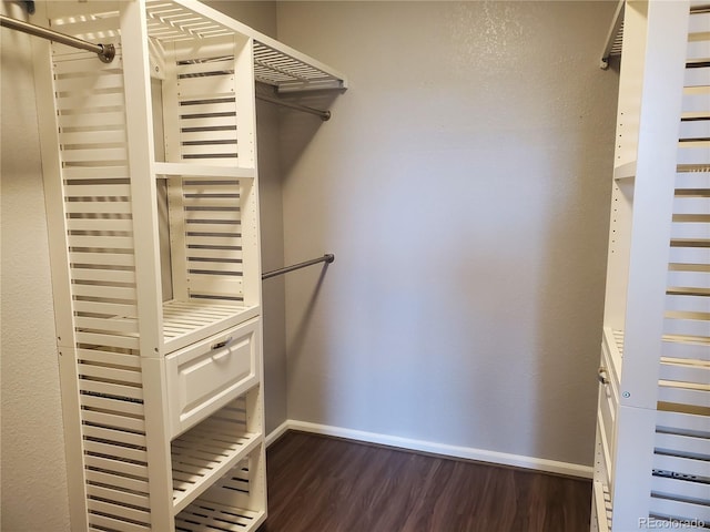 14251 E 1st Dr Unit 305, Aurora, CO 80011 - walk in closet featuring dark wood finished floors