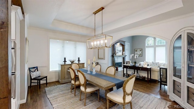 dining room with dark hardwood / wood-style floors, a healthy amount of sunlight, a tray ceiling, and crown molding