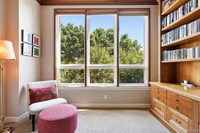 2400 E Cherry Creek S Drive 307, Denver, CO 80209 - sitting room featuring light carpet, ornamental molding, and plenty of natural light