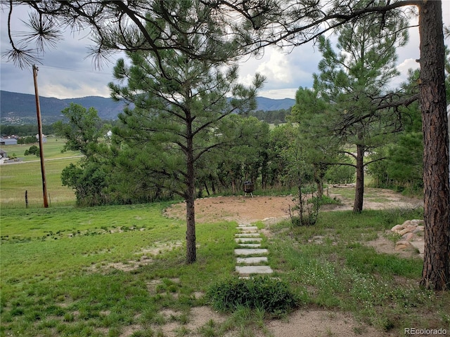 752 Westward, Palmer Lake, CO 80133