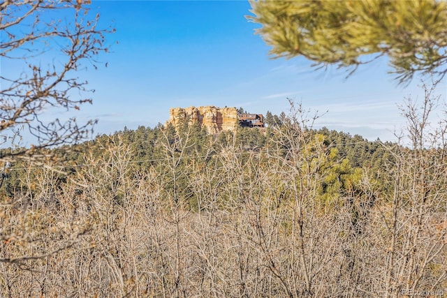 752 Westward, Palmer Lake, CO 80133