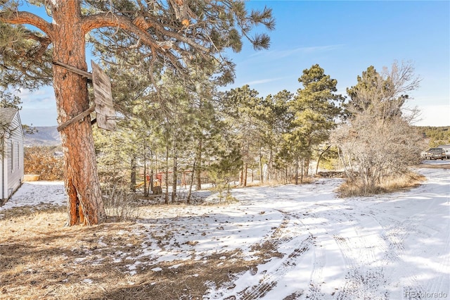 752 Westward, Palmer Lake, CO 80133