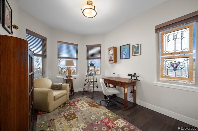 office space featuring dark hardwood / wood-style flooring