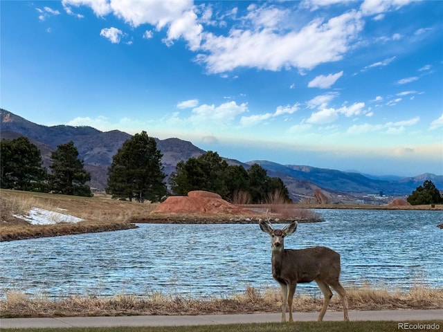 property view of water featuring a mountain view