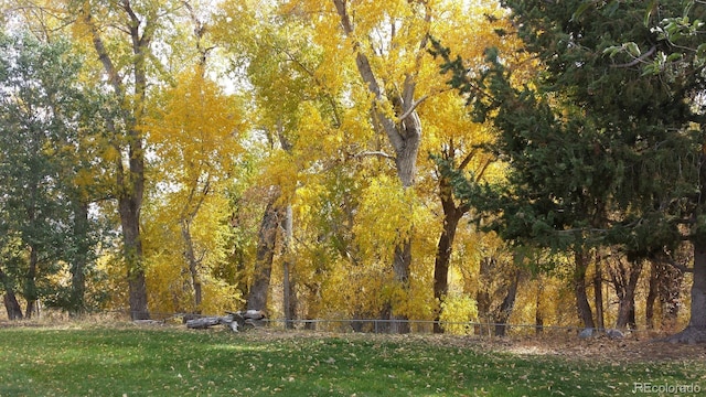 view of property's community featuring a lawn