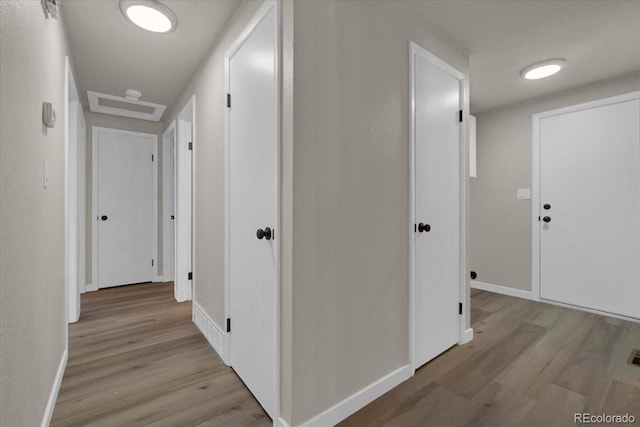 10 Juneau Pl, Longmont, CO 80504 - corridor with light wood-style flooring and baseboards