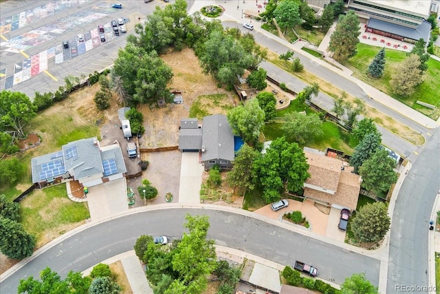 7441 S Gallup Way, Littleton, CO 80120 - photo 39
