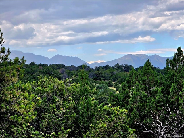 LOT97PHASE4 River Ridge Ranch, Walsenburg, CO 81089 - photo 2