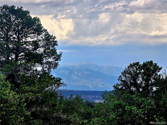 LOT97PHASE4 River Ridge Ranch, Walsenburg, CO 81089 - photo 5