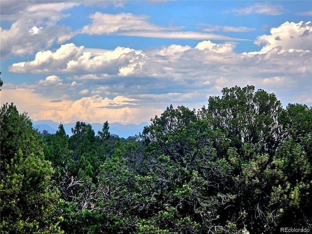 LOT97PHASE4 River Ridge Ranch, Walsenburg, CO 81089 - photo 6