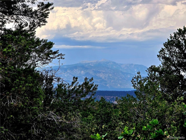 LOT97PHASE4 River Ridge Ranch, Walsenburg, CO 81089 - photo 8