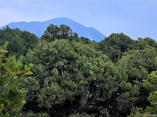 LOT97PHASE4 River Ridge Ranch, Walsenburg, CO 81089 - photo 9