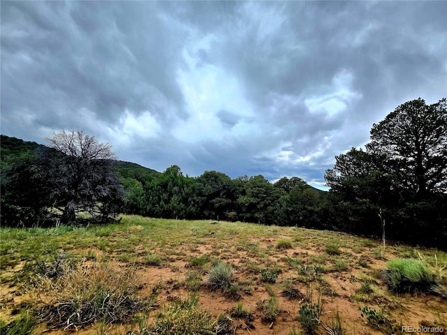 LOT97PHASE4 River Ridge Ranch, Walsenburg, CO 81089 - photo 10