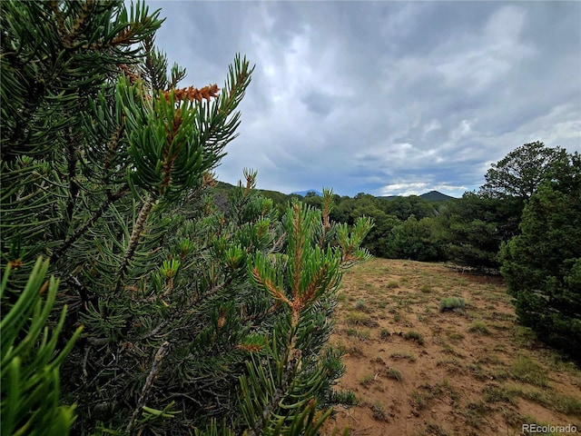 LOT97PHASE4 River Ridge Ranch, Walsenburg, CO 81089 - photo 12