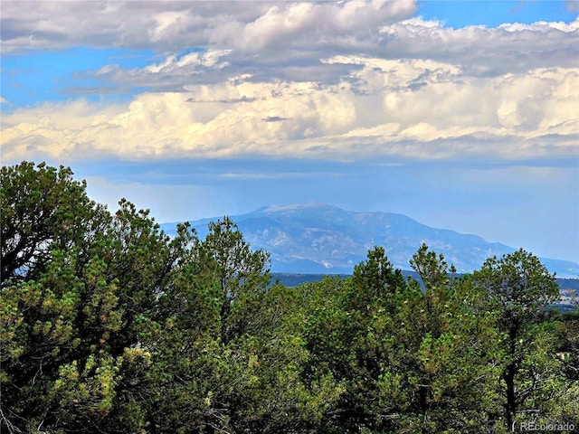 LOT97PHASE4 River Ridge Ranch, Walsenburg, CO 81089 - photo 16