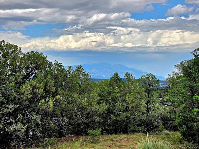 LOT97PHASE4 River Ridge Ranch, Walsenburg, CO 81089 - photo 18