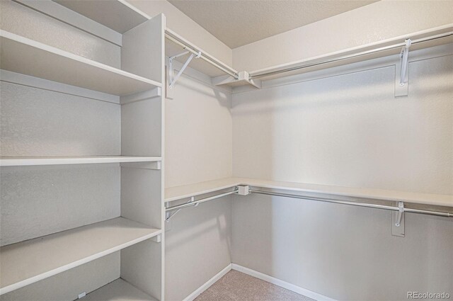 17187 E Cedar Gulch Dr, Parker, CO 80134 - spacious closet featuring carpet floors