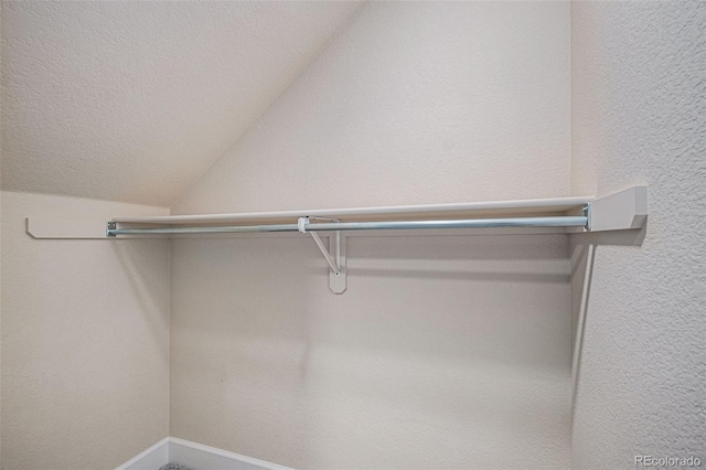 17187 E Cedar Gulch Dr, Parker, CO 80134 - spacious closet featuring vaulted ceiling