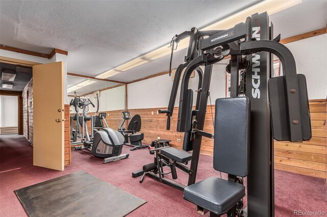 2325 S Linden Ct Unit 206, Denver, CO 80222 - workout room with wood walls, carpet flooring, and a textured ceiling