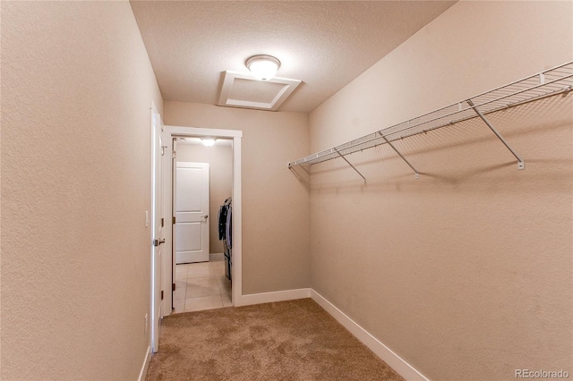 767 Robert St, Longmont, CO 80503 - spacious closet with carpet floors and tile patterned flooring