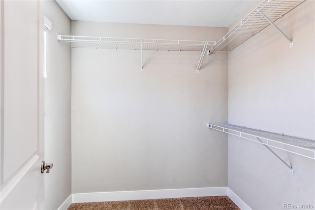 767 Robert St, Longmont, CO 80503 - view of spacious closet