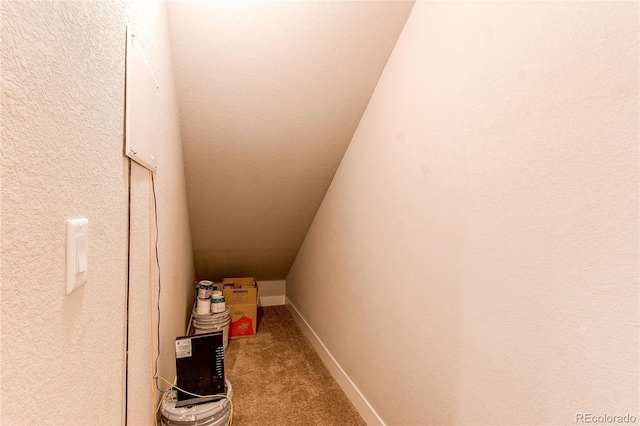 767 Robert St, Longmont, CO 80503 - stairs with carpet