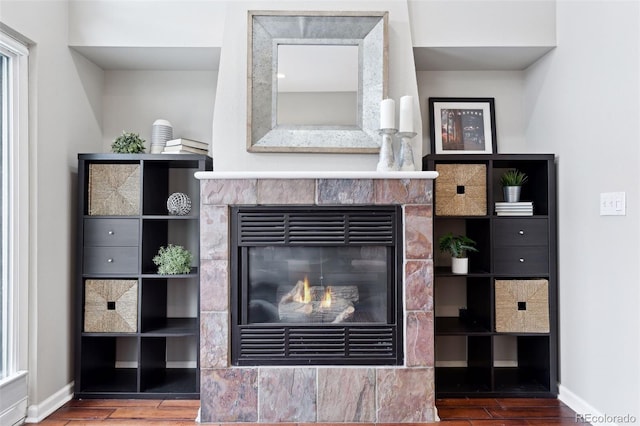 room details with wood-type flooring and a fireplace