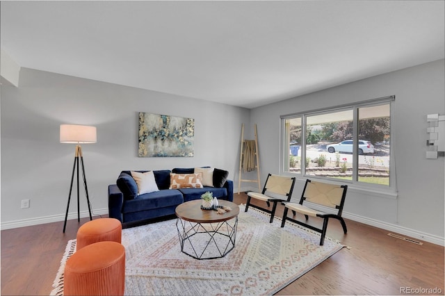 living room with wood-type flooring