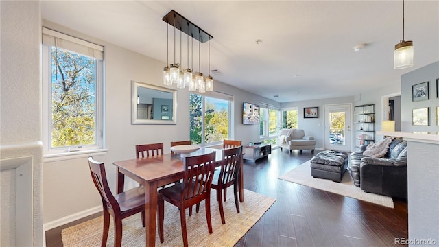 dining area featuring a healthy amount of sunlight and dark hardwood / wood-style floors