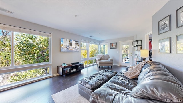 living room featuring a healthy amount of sunlight and dark hardwood / wood-style flooring