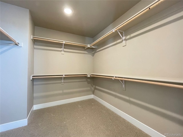 walk in closet with carpet