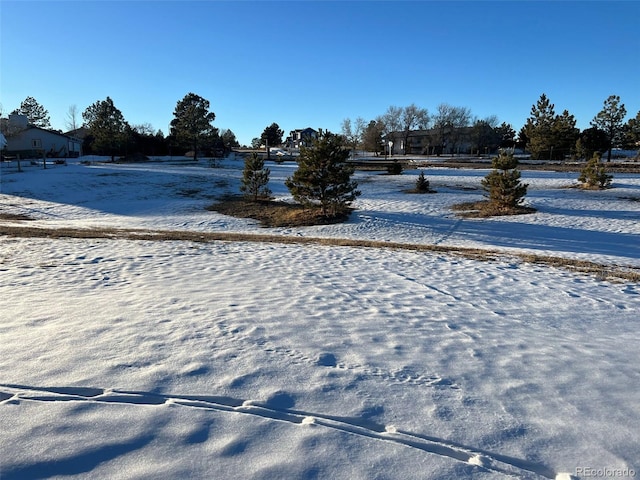 view of snowy yard