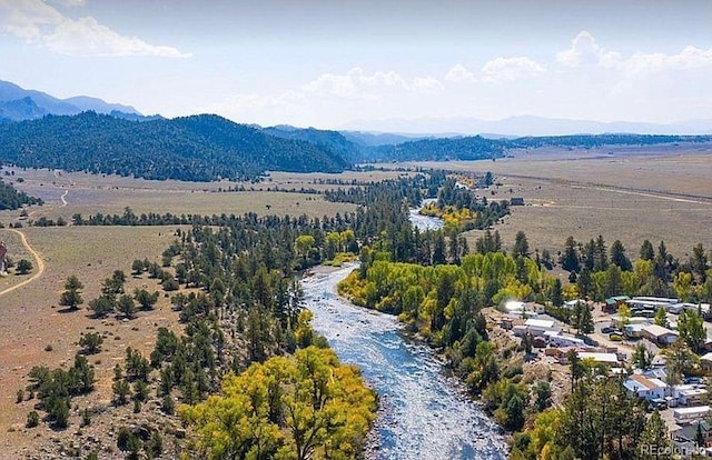 10795 County Road 197a, Nathrop, CO 81236 - photo 1