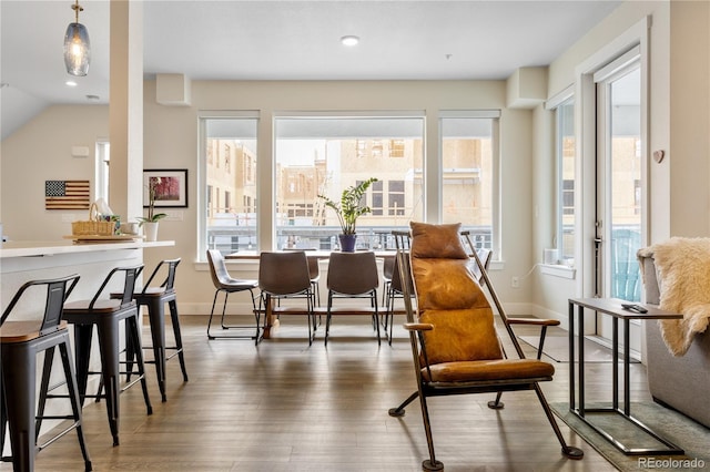 living area featuring baseboards, a healthy amount of sunlight, and wood finished floors