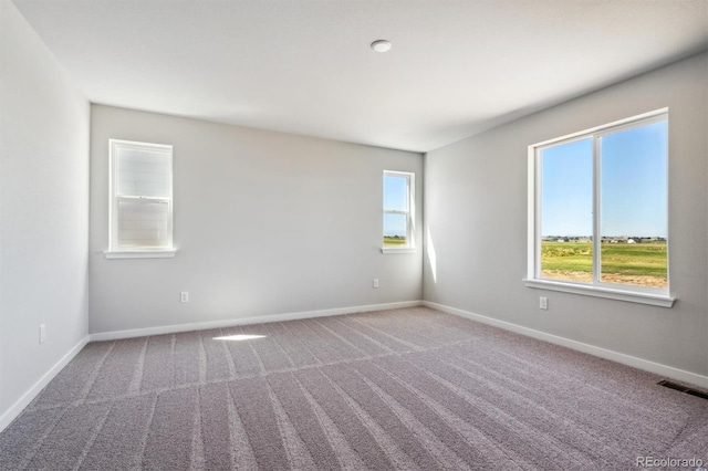 spare room featuring carpet flooring