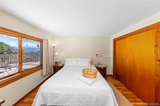 bedroom featuring wood finished floors, baseboards, and a closet