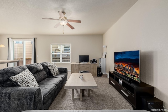 1693 Maseca Plaza Way, Severance, CO 80550 - photo 14