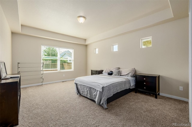 1693 Maseca Plaza Way, Severance, CO 80550 - photo 16