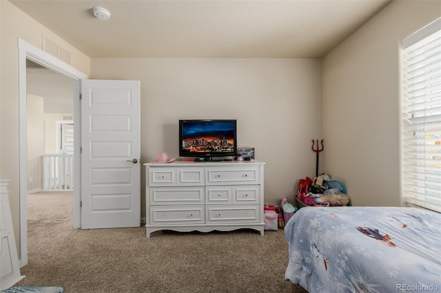 1693 Maseca Plaza Way, Severance, CO 80550 - photo 27