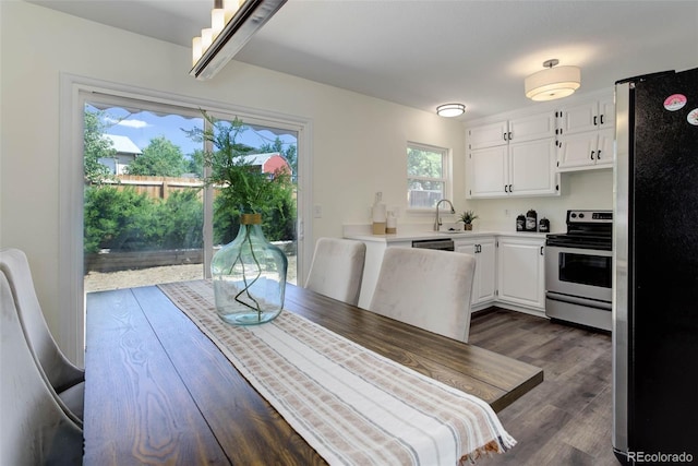 dining room featuring sink and dark hardwood / wood-style floors