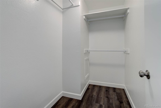 spacious closet with dark hardwood / wood-style floors