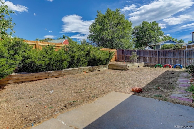 view of yard featuring a patio