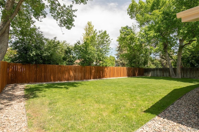 9861 E Ohio Ave, Denver, CO 80247 - view of yard
