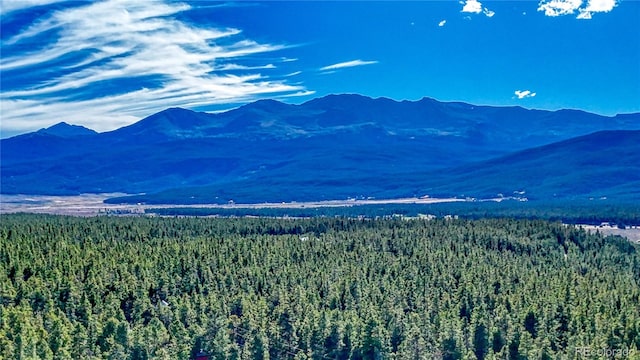 953 Baby Doe Dr, Leadville CO, 80461 land for sale